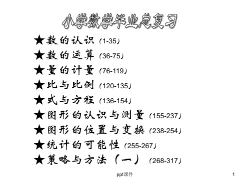 人教版六年级数学总复习全套  ppt课件