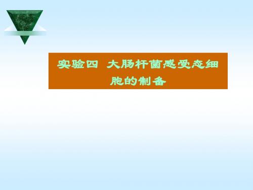 实验四 大肠杆感受态细胞的制备