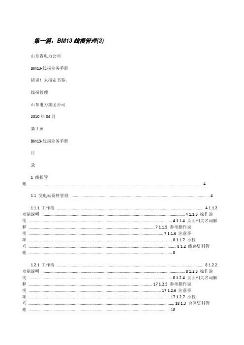 BM13线损管理(3)[修改版]