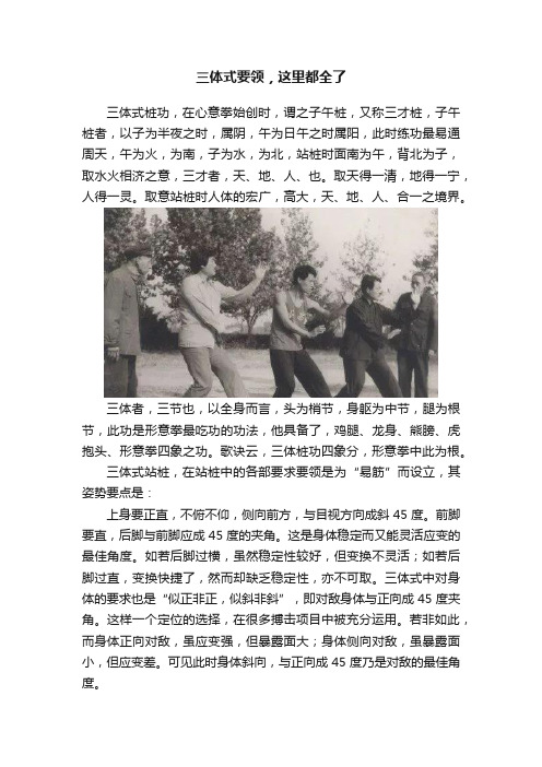 三体式要领，这里都全了