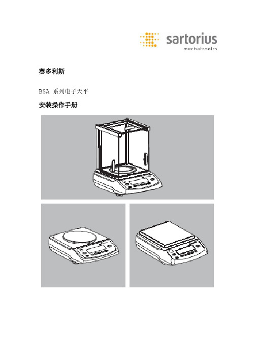 BSA系列天平使用说明书