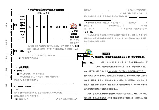 2019-2020年六年级期末文化素质水平测试题