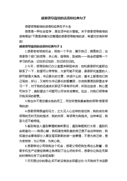 感谢领导栽培的话语和经典句子