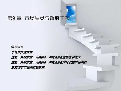 第七章 市场失灵与政府干预 垄断和反垄断政策 外部效应及对策