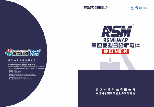 RSM-WAP高应变拟合软件说明书