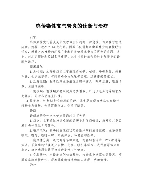 鸡传染性支气管炎的诊断与治疗