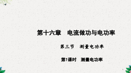 沪科版物理(河南)九年级上册作业课件：第三节 测量电功率 第1课时 测量电功率