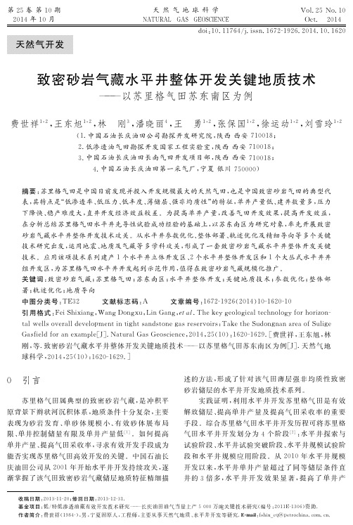 致密砂岩气藏水平井整体开发关键地质技术——以苏里格气田苏东南区为例