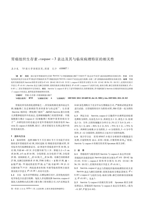 胃癌组织生存素、caspase-3表达及其与临床病理特征的相关性