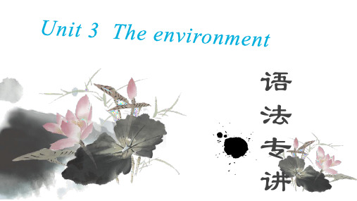 深圳牛津版九年级下册Unit3 The enviornment 知识点总结讲练(共11张PPT)