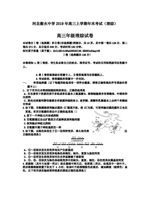 河北衡水中学2019年高三上学期年末考试(理综)