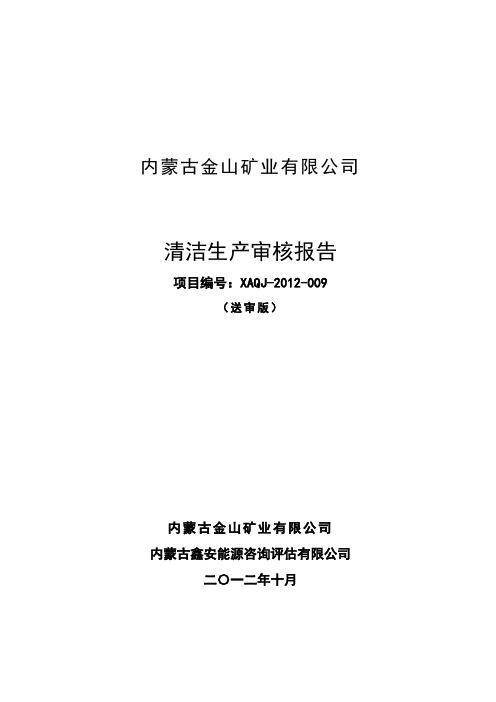 精品xx矿业有限公司清洁生产审核报告