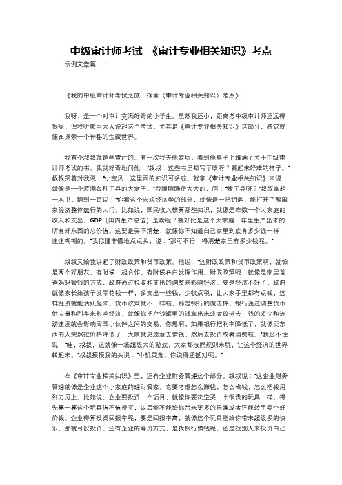 中级审计师考试 《审计专业相关知识》考点