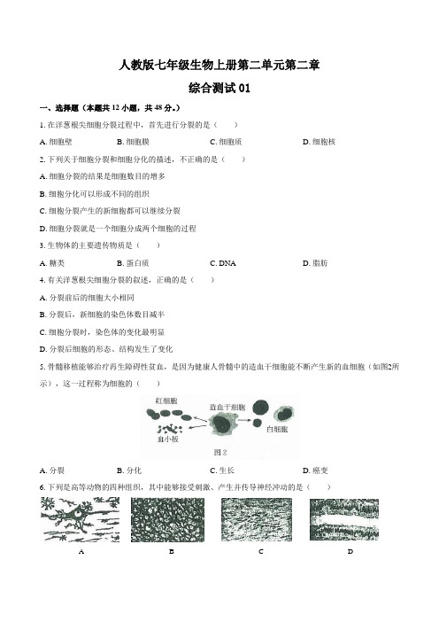 人教版七年级生物上册 第二单元第二章《细胞怎样构成生物体》测试卷三套及答案