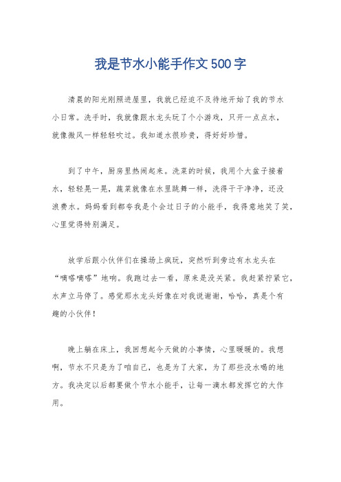 我是节水小能手作文500字