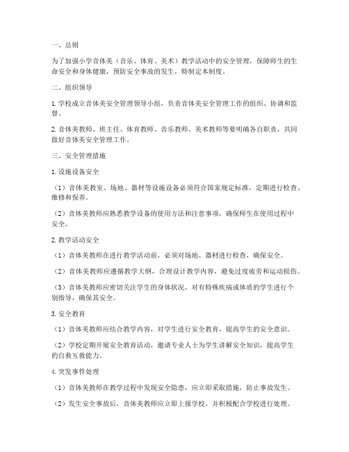 小学音体美安全管理制度