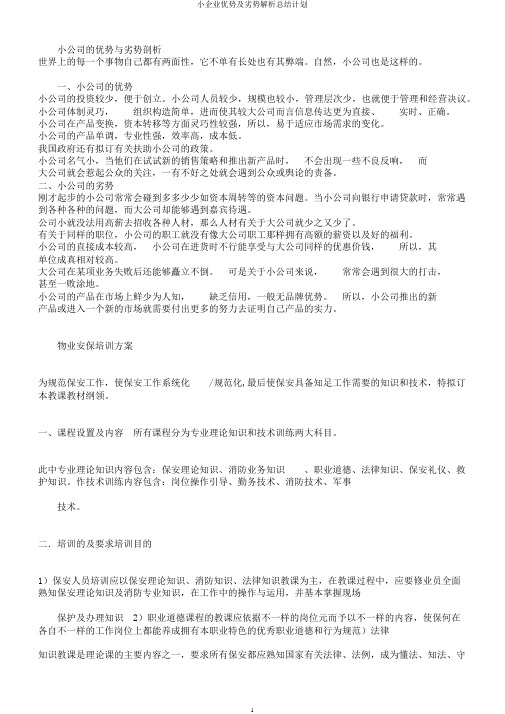 小企业优势及劣势解析总结计划