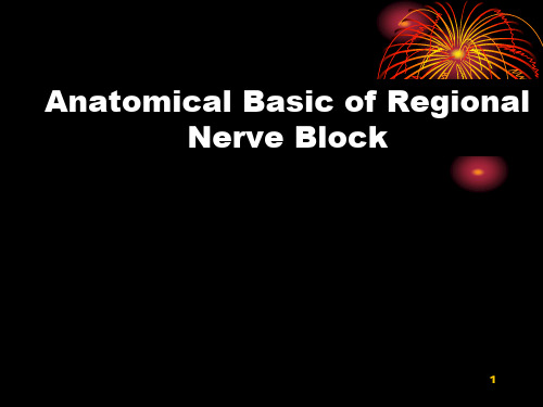 区域阻滞神经解剖PPT医学课件