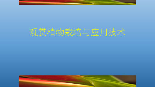 观赏植物栽培与应用技术课件