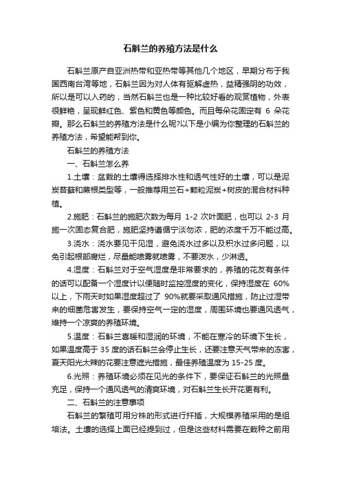 石斛兰的养殖方法是什么