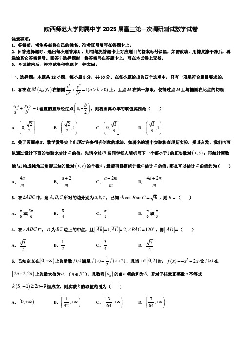 陕西师范大学附属中学2025届高三第一次调研测试数学试卷含解析