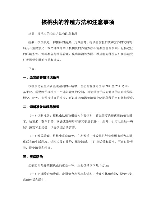 核桃虫的养殖方法和注意事项