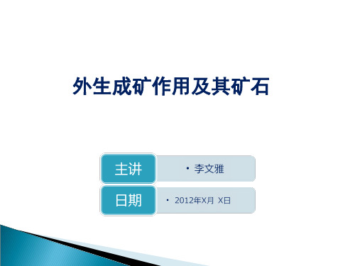 外生成矿作用及其矿石