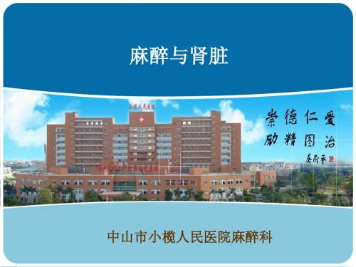 麻醉与肾脏(杨纲华)