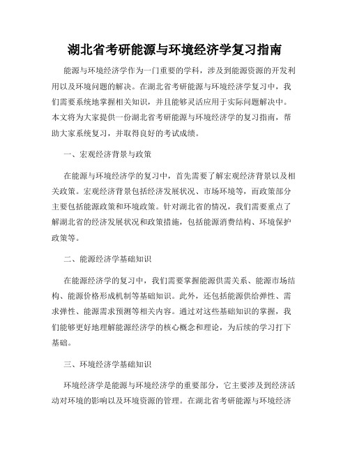 湖北省考研能源与环境经济学复习指南