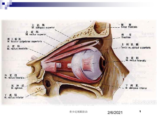 青少近视眼防治培训课件