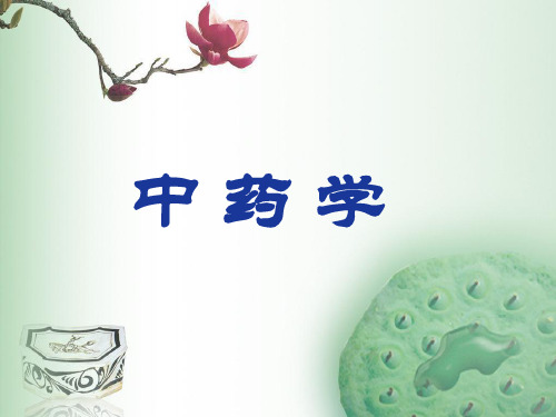 第2章清热药第3节清热解毒药PPT课件