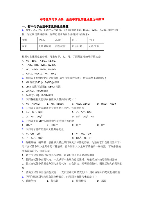 中考化学专项训练：生活中常见的盐课堂达标练习