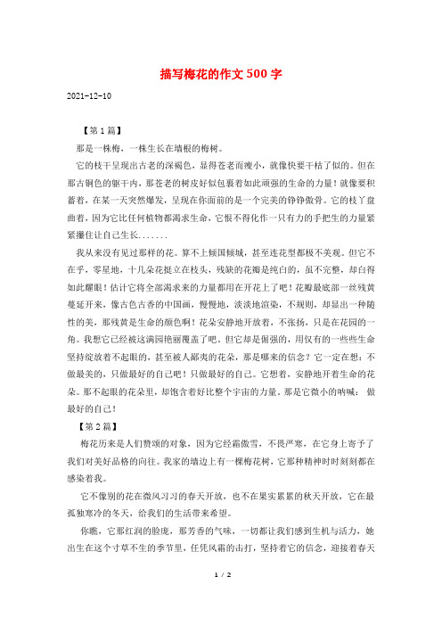 描写梅花的作文500字
