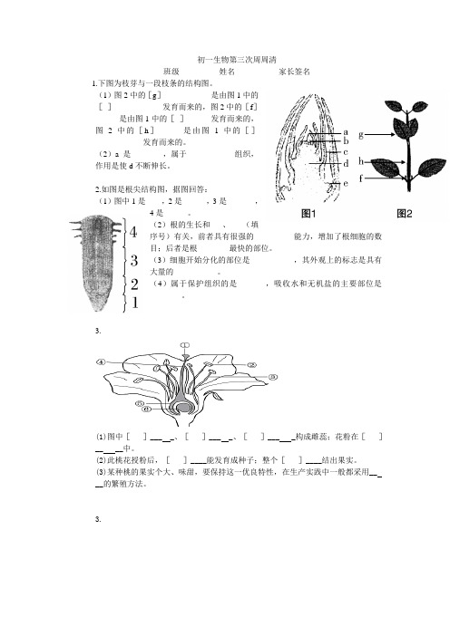 3周周清