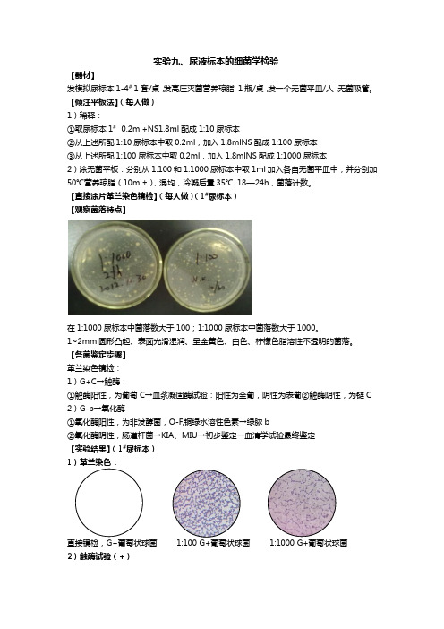 尿液标本的细菌学检验微生物学实验