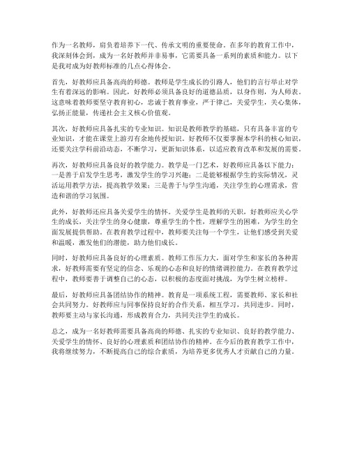 成为好教师标准心得体会