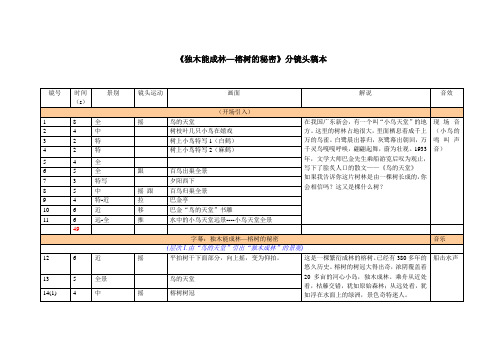 电影文学剧本节选《暖》