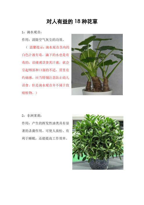 对人有益的18种花草