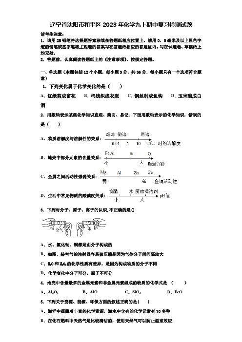 辽宁省沈阳市和平区2023年化学九上期中复习检测试题含解析