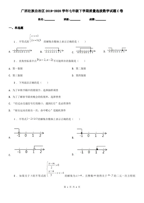 广西壮族自治区2019-2020学年七年级下学期质量选拔数学试题C卷