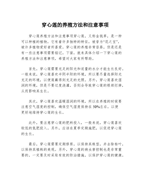 穿心莲的养殖方法和注意事项