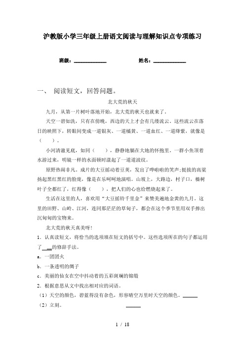 沪教版小学三年级上册语文阅读与理解知识点专项练习