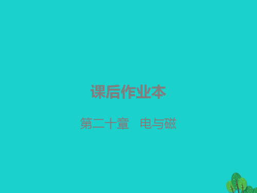 广东省2020年中考物理复习第二十章电与磁课件1