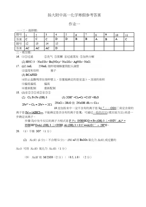 化学寒假作业答案.docx