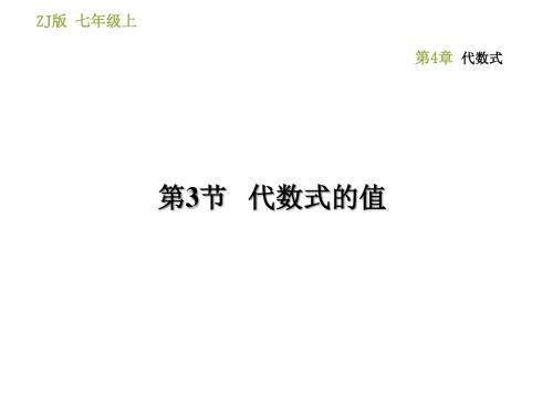 浙教版七年级上册数学习题课件：4.3代数式的值(共25张PPT)