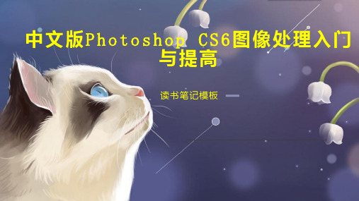 中文版Photoshop CS6图像处理入门与提高