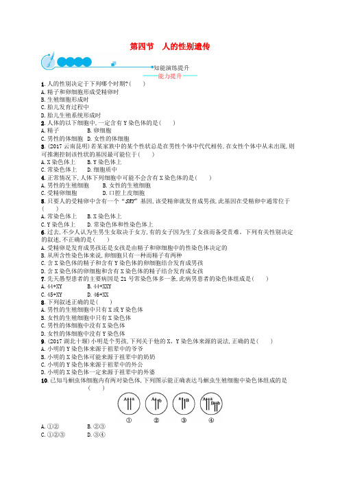 八年级生物下册 7.2.4 人的性别遗传练习 (新版)新人教版