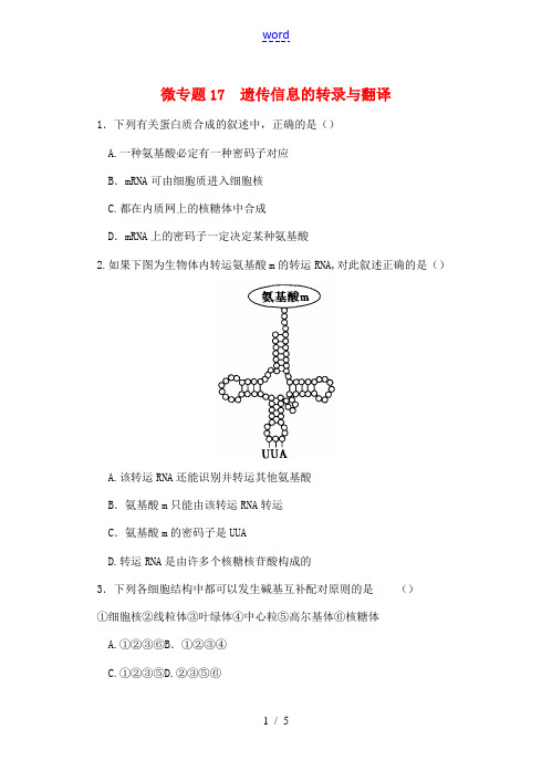 高中生物同步培优资料 微专题17 遗传信息的转录与翻译 新人教版高一必修2生物试题