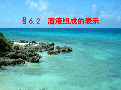 2020-2021学年沪教课标版初中化学九年级下册第六章第2节 溶液组成的表示 课件