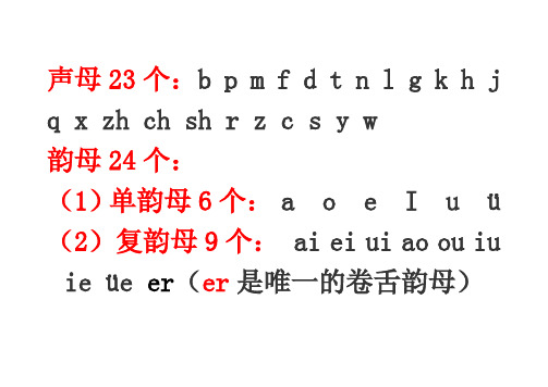 声母韵母整体认读音生字组词